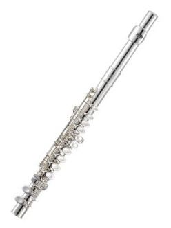 Stentor Jupiter Flute Outfit